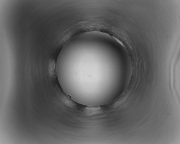 X0000116140480200911231315