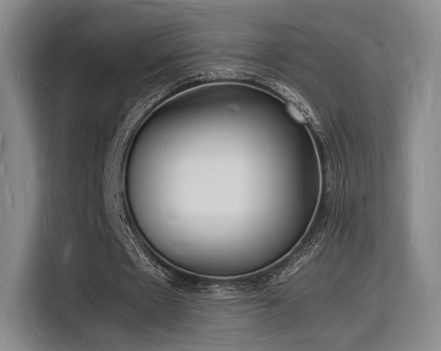X0000116140481200911231314