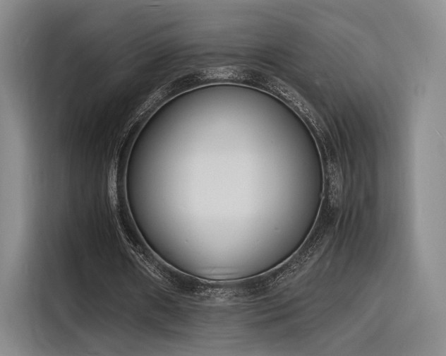 X0000116140482200911231314