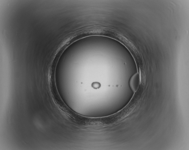 X0000116140483200911231314