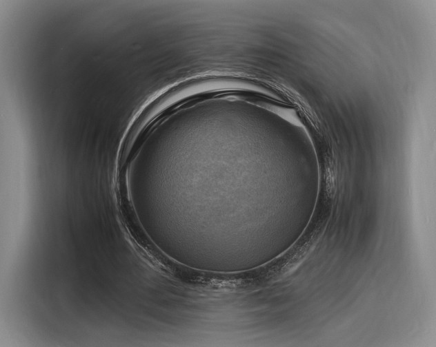 X0000116140484200911231314