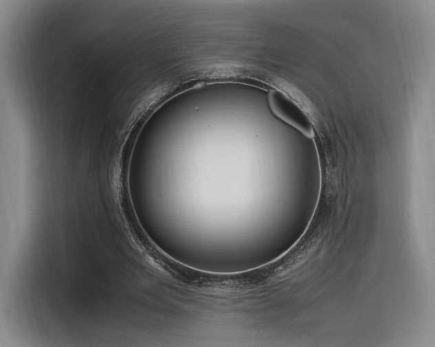X0000116140485200911231314