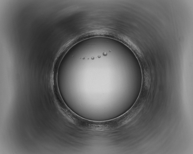 X0000116140486200911231314