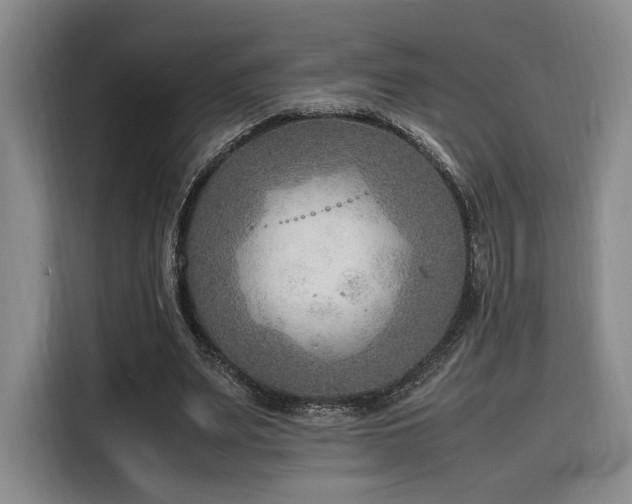 X0000116140487200911231314