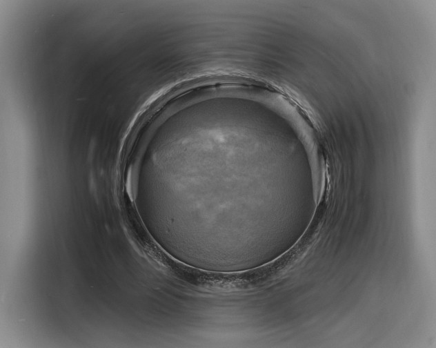 X0000116140488200911231314
