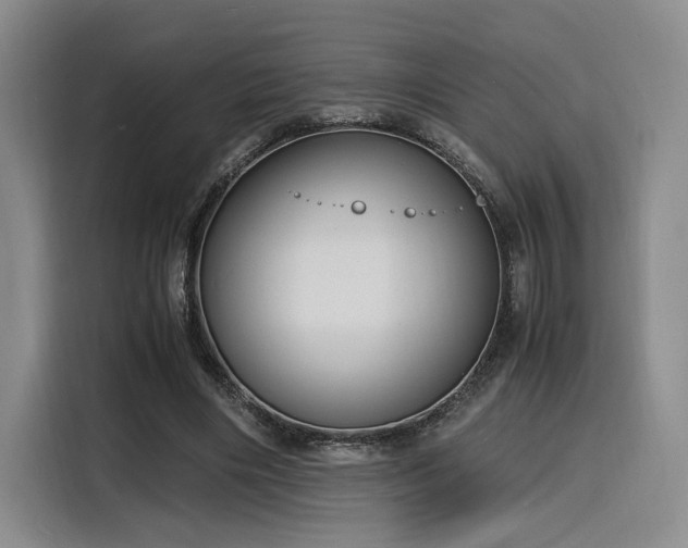 X0000116140490200911231314