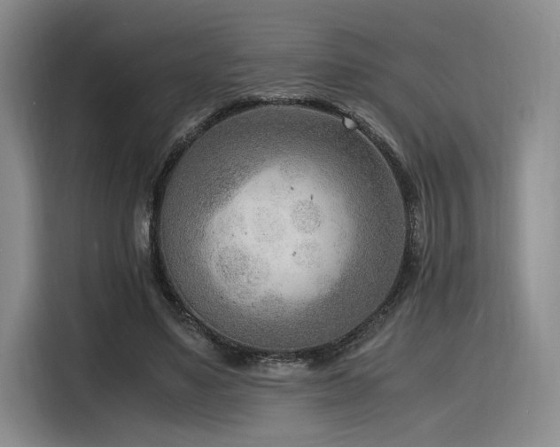 X0000116140491200911231314