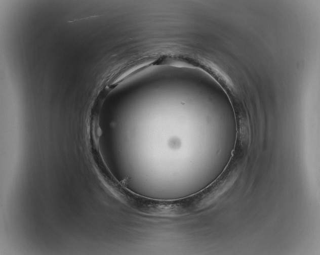 X0000116140493200911231314