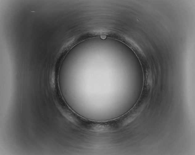 X0000116140494200911231314