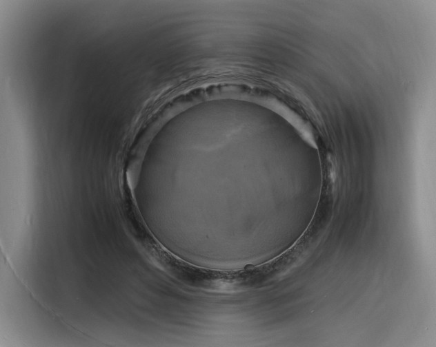 X0000116140496200911231314