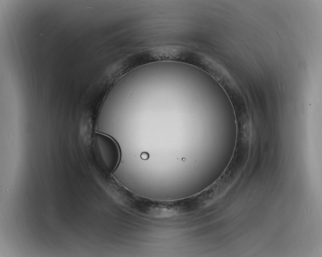 X0000116140498200911231314