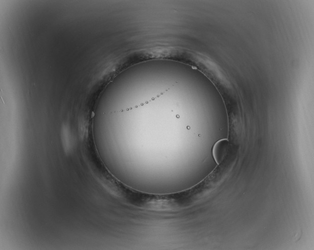 X0000116140499200911231314