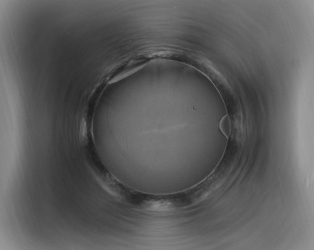 X0000116140500200911231314