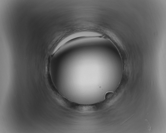 X0000116140501200911231314