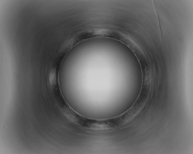 X0000116140502200911231314