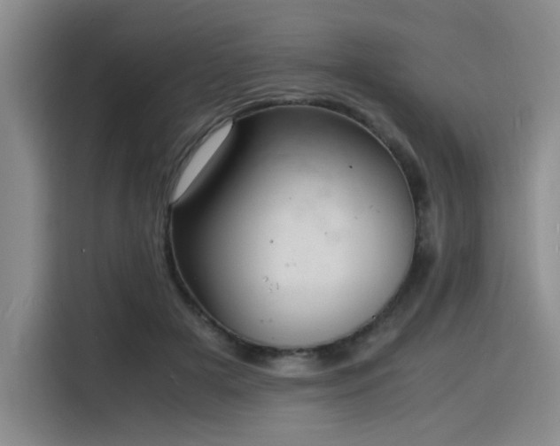 X0000116140505200911231314