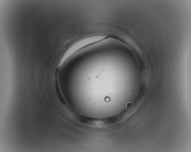X0000116140509200911231314