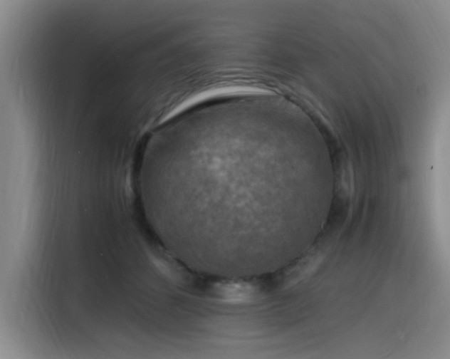 X0000116140512200911231314