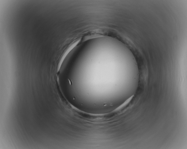 X0000116140513200911231314