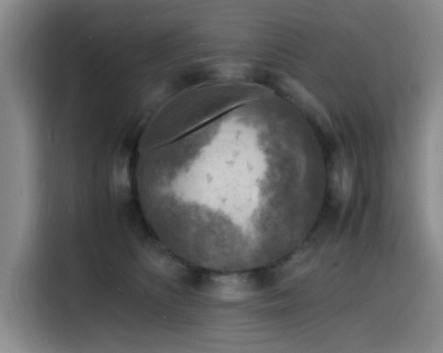 X0000116140516200911231314