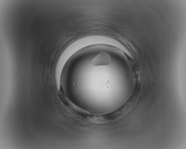 X0000116140517200911231314