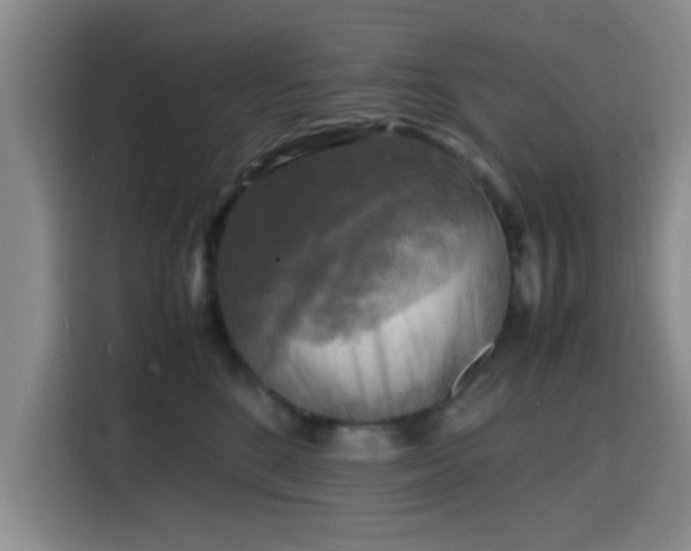 X0000116140520200911231314
