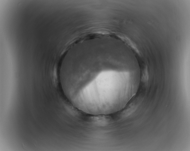 X0000116140524200911231314