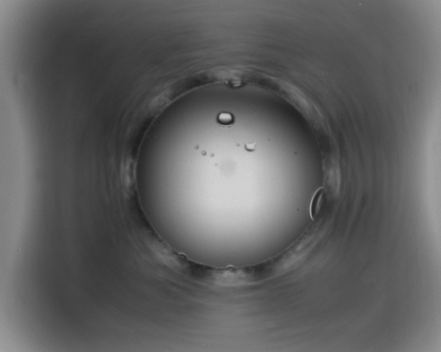 X0000116140525200911231314