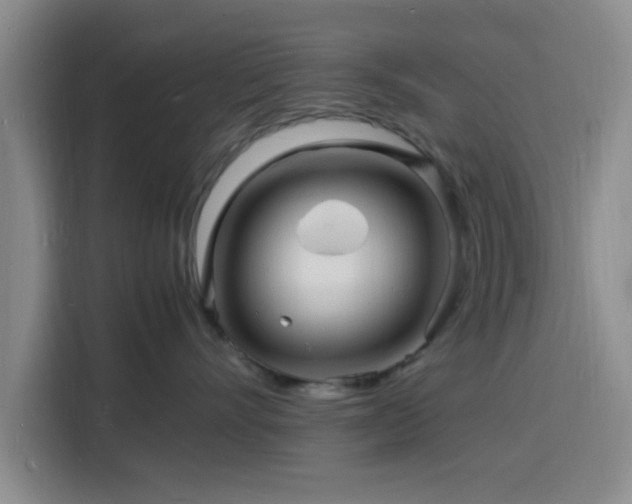 X0000116140528200911231314