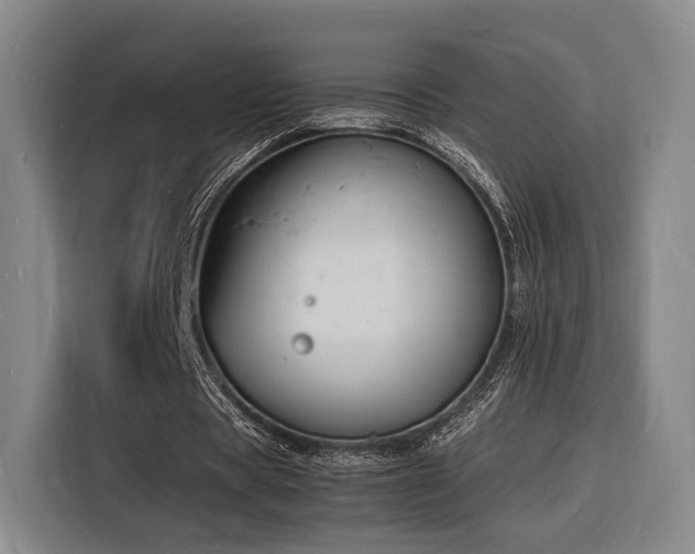 X0000116140529200911231313