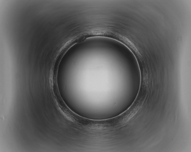 X0000116140530200911231313