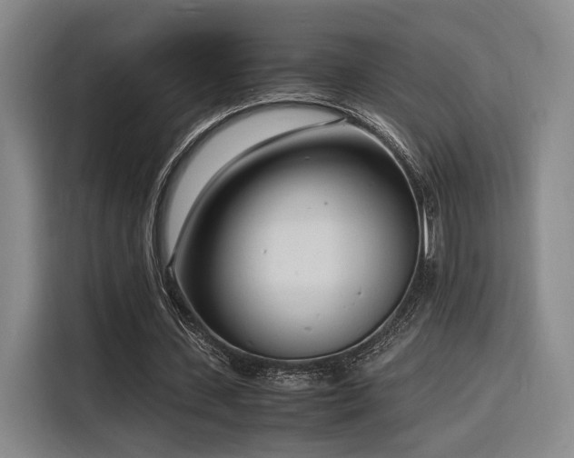 X0000116140531200911231313