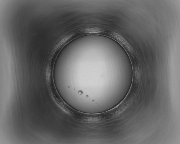 X0000116140533200911231313