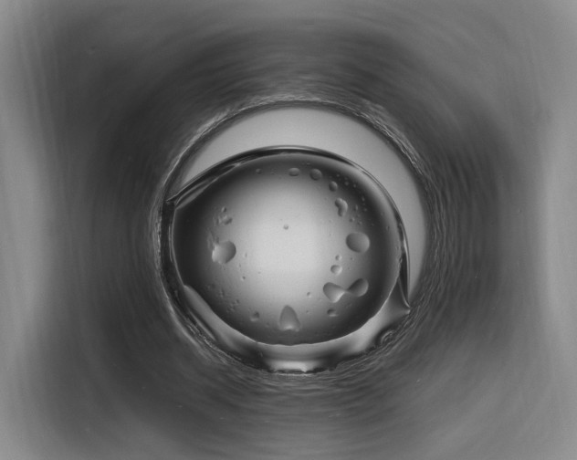 X0000116140534200911231313