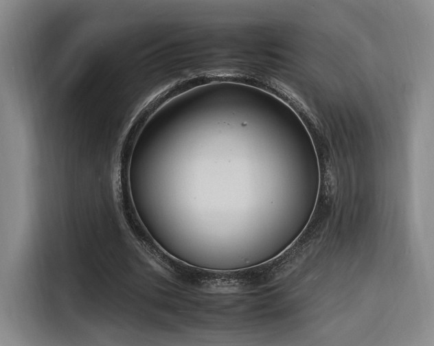 X0000116140535200911231313