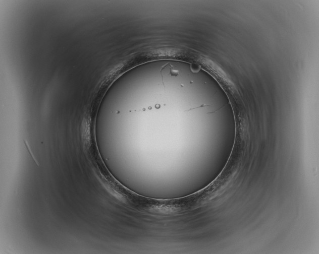 X0000116140537200911231313