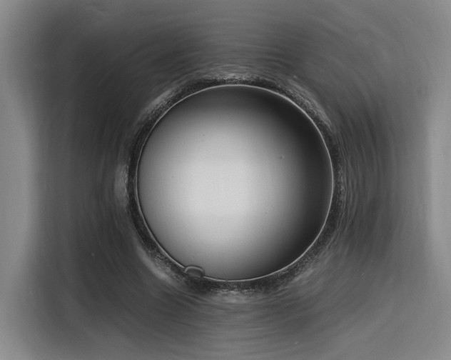 X0000116140538200911231313