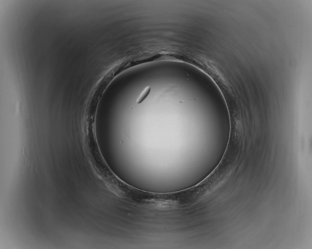 X0000116140539200911231313