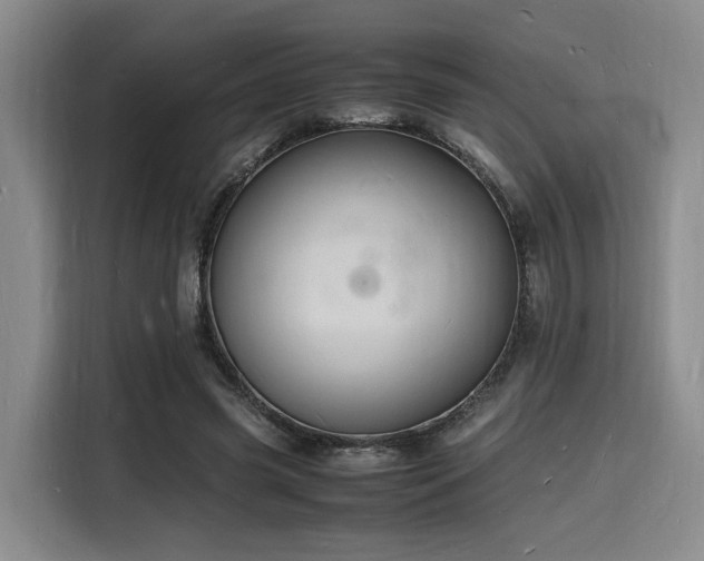 X0000116140541200911231313