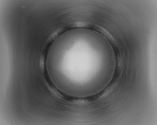 X0000116140542200911231313