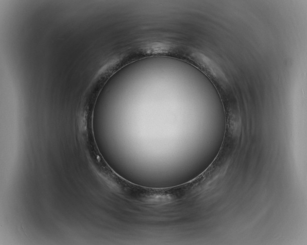 X0000116140543200911231313