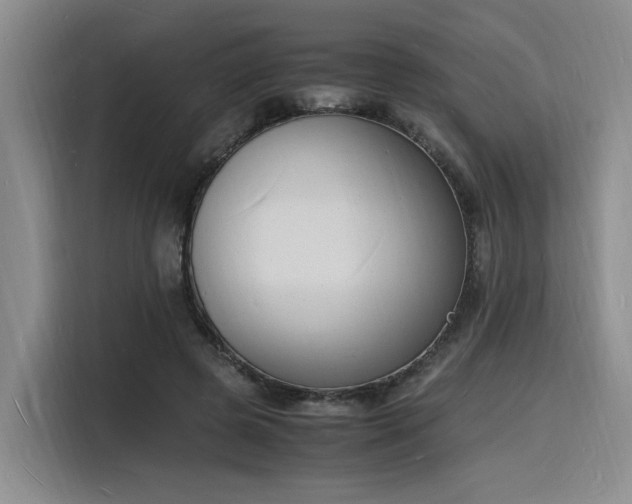 X0000116140545200911231313