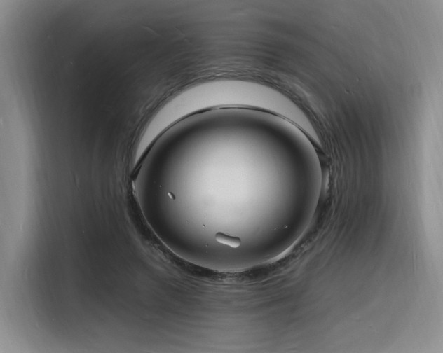X0000116140546200911231313