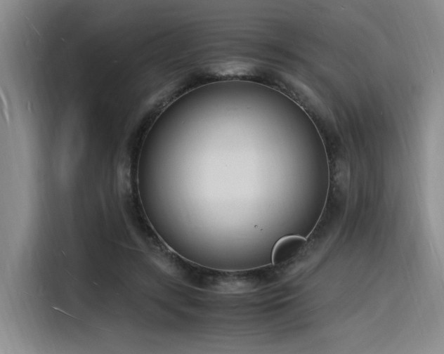 X0000116140547200911231313