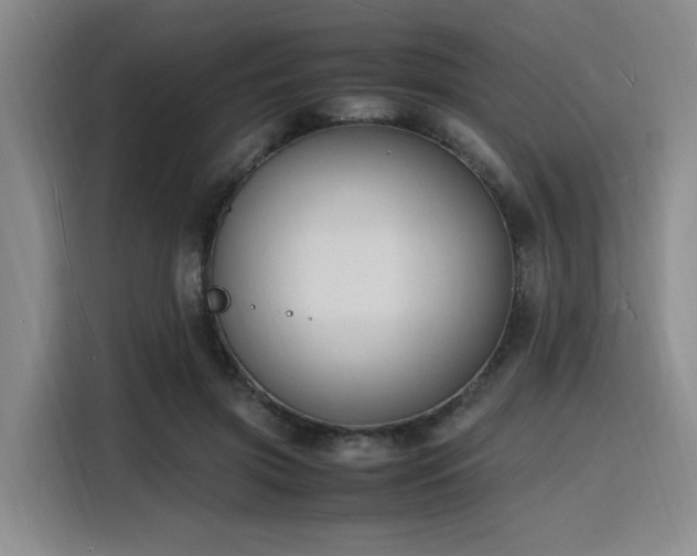 X0000116140549200911231313