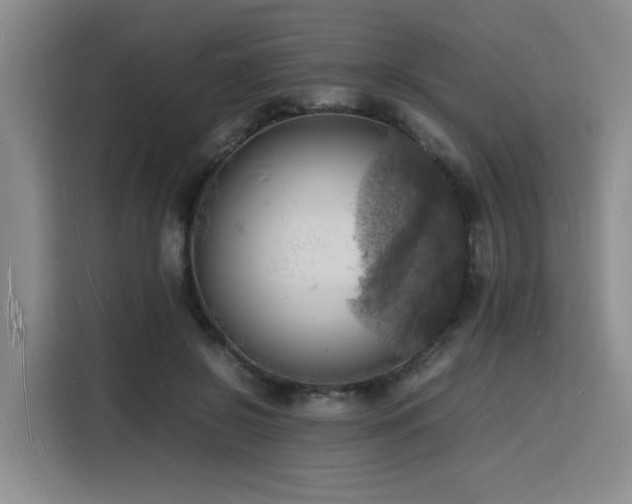 X0000116140550200911231313