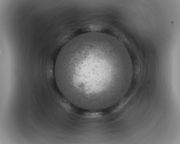 X0000116140553200911231313