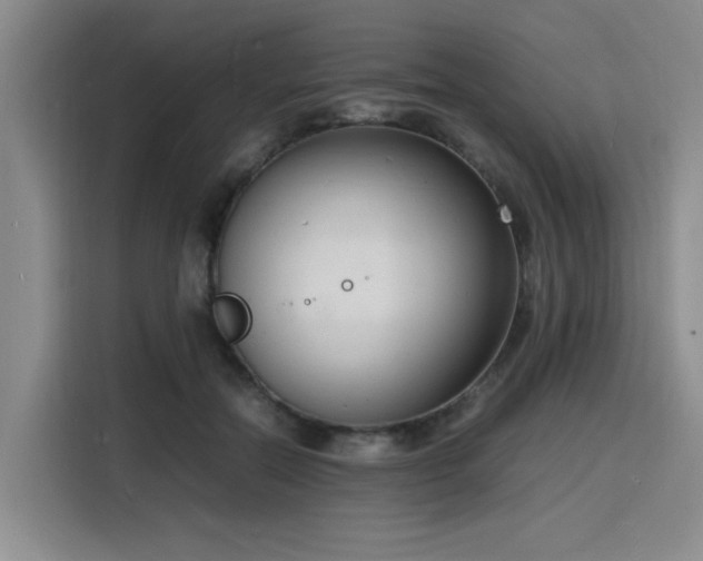 X0000116140554200911231313