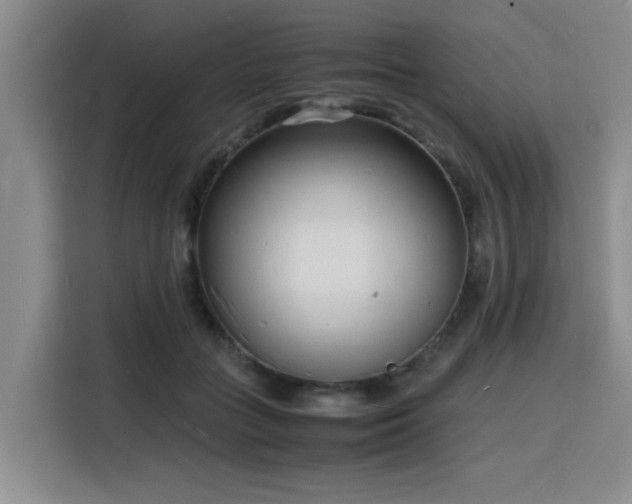X0000116140555200911231313