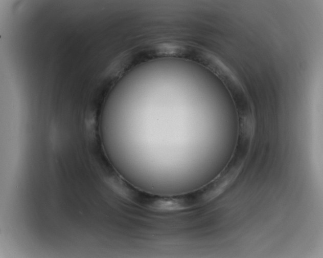 X0000116140557200911231313